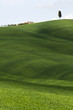 Tuscany