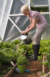 Photo: Watering Watering