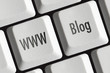 blogging the web