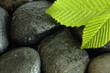 hot stones