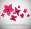 Paper Flowers