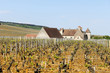 Vougeot au printemps