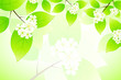 Green nature
