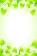 Green frame