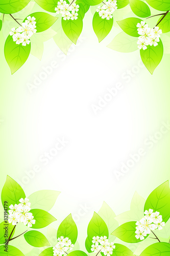 Vector: Green frame Green frame