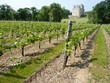 vignes et brissac vignes et brissac