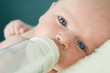 newborn