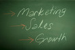 Marketing & Sales & Growth