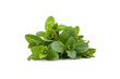 Mint leaf