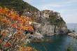 Manarola - Liguria, Cinqueterre Manarola - Liguria, Cinqueterre