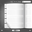 Vector: Website design Website design