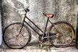old bicycle side view