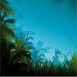 Vecteur : Jungle border Jungle border