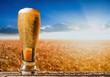 beer in a landscape beer in a landscape