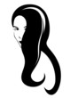 beautiful hairstyle vector