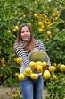 Girl pouring a bucket of lemons Girl pouring a bucket of lemons