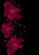 red flowers on black