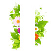 Natural Background With Leaves And Flower Natural Background With Leaves And Flower