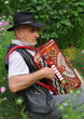 homme senior jouant de l'accordéon