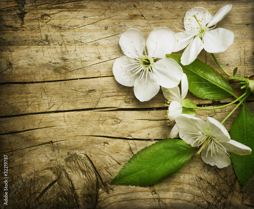 Foto: Spring Blossom over wooden background Spring Blossom over wooden background