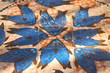 Blue fish tiles