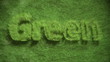 Video: green text growing in grass green text growing in grass