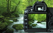 Digital camera capturing