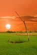 old rural well at the evening old rural well at the evening