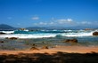 corse