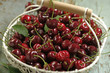 Récolte de cerises