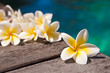 Fleurs de frangipanier au bord d'une piscine
