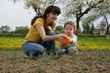 Boy watered plants