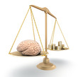 Brain price. 3D concept over white Brain price. 3D concept over white
