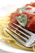 Spaghetti tomato sauce with herb