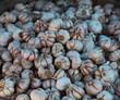 Ripe Garlic Stock On The Market