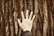 Photo: to nature with care to nature with care
