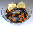 Mussels