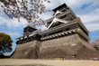 Kumamoto Castle