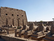 Ram headed sphinxes at temple Complex at Karnak Egypt