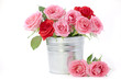 rose in a tin pail
