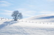 Winter Wonderland - Saalfelden, AT Feb. 2011
