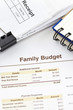 Family Budget