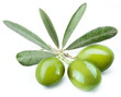 Three green olives on the branch.
