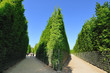 parc de versailles