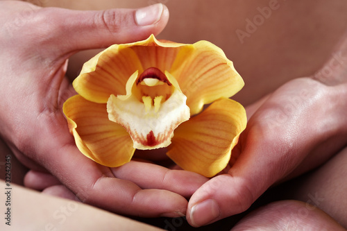 Photo: Orchid beauty Orchid beauty