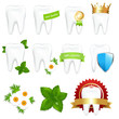 Vector: Tooths Set Tooths Set