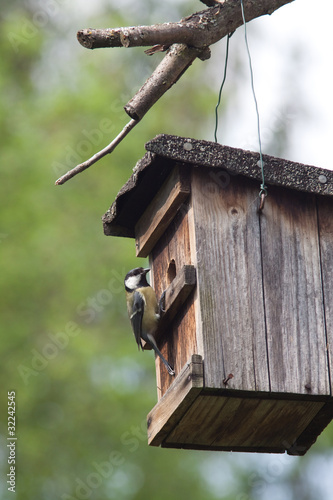 Foto: Meisennest Meisennest