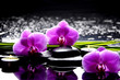 Photo: Spa still life with set of pink orchid and stones reflection Spa still life with set of pink orchid and stones reflection