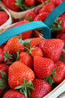 Au marché : Barquette de fraises