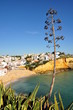 Photographie : Der Strand von Carvoeiro